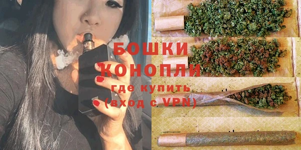 крисы Новокубанск