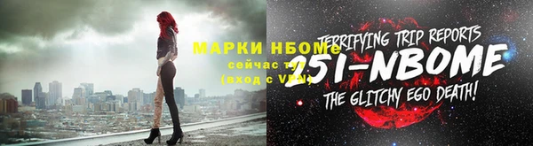 крисы Новокубанск