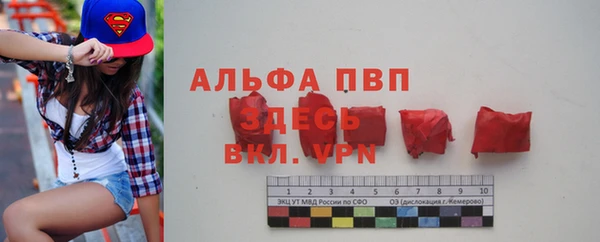 крисы Новокубанск