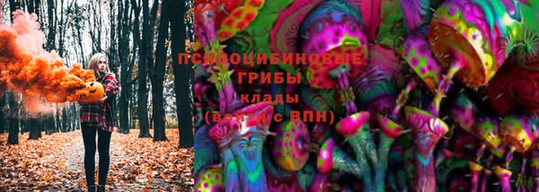 бошки Абаза