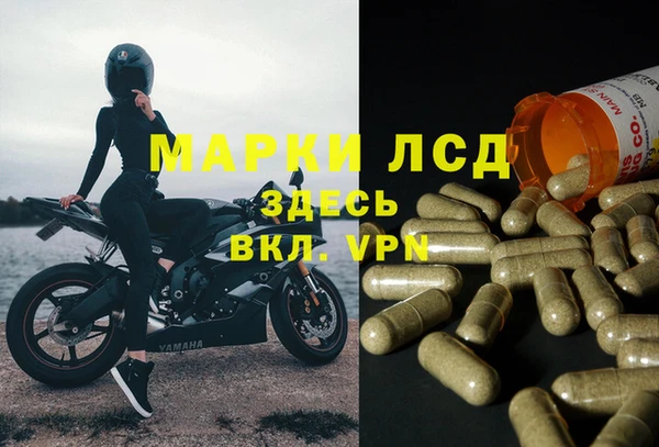спиды Новодвинск