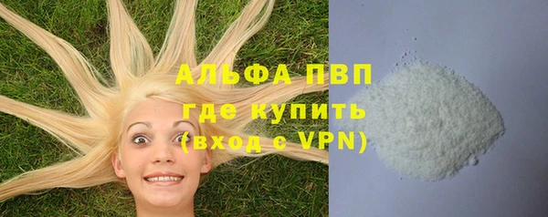 спиды Новодвинск